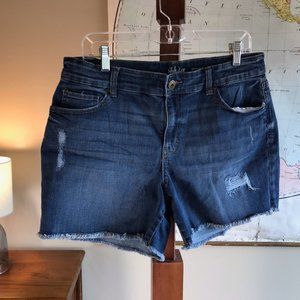 Style and Co. Jean Shorts